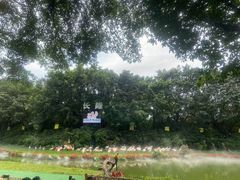 -广州长隆飞鸟乐园