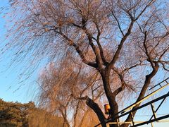 -长春市南湖公园