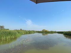 -盐城丹顶鹤湿地生态旅游区