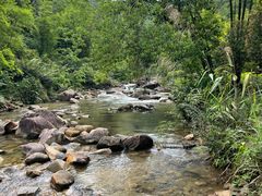 -广州白江湖森林公园