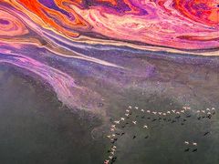 -罗红摄影艺术馆