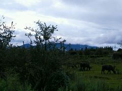 android_upload_pic-叠水河瀑布