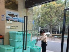 -浔味·山屿湖·正宗淳牌全鱼宴老字号