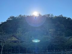 -野象谷景区