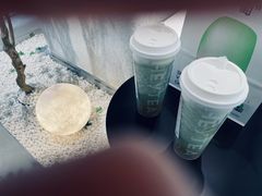 芝士多肉青提-喜茶(中山利和新地店)