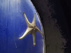 -合肥海洋世界