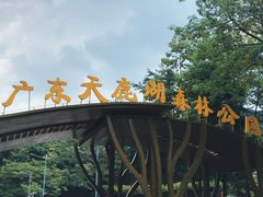 -天鹿湖森林公园
