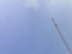 -四海酒家生态粤菜