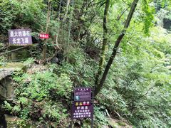 -藏龙百瀑风景区