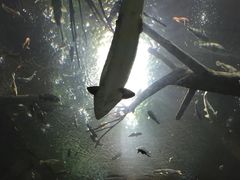 -成都浩海立方海洋公园