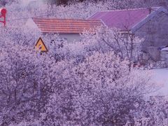 -崂山九水游览区