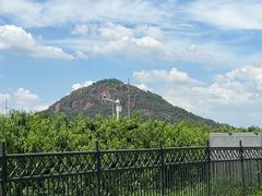 -老袁家蜜桃农场·阳山水蜜桃