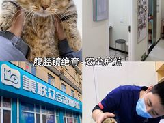 -美联众合动物医院·24h京西诊疗中心