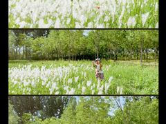 -东郊湿地公园