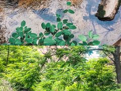 -碓臼峪自然风景区