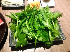 茼蒿-老鼎旺安格斯牛肉火锅(衡艺广场店)