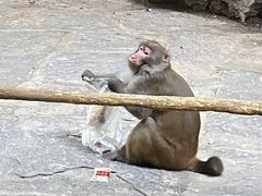 -北京上方山国家森林公园