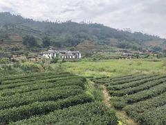 -福建土楼（华安）旅游区•大地土楼群