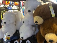 -广州热雪奇迹