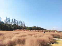 -嘉北郊野公园