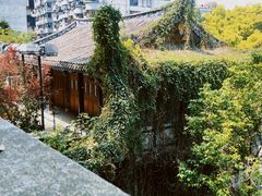 -乌山风景区