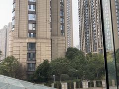 -桃花源中餐厅(金茂豪华精选酒店)