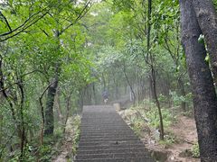 -紫金山山顶公园