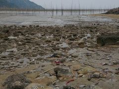 -北岐滩涂