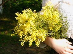 -厦门国家会计学院