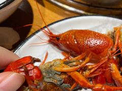 贵妃虾-0574龙虾的故事(东裕店)