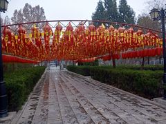 -大槐树寻根祭祖园