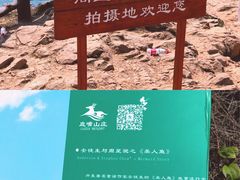 -杨梅坑