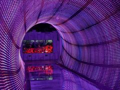 -正佳自然科学博物馆