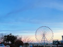 -琴岛之星摩天轮