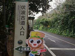 -海南铜鼓岭景区