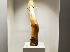 -冰岛阴茎博物馆