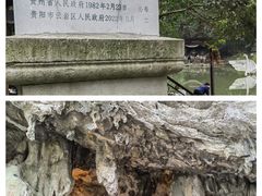 -黔灵山公园