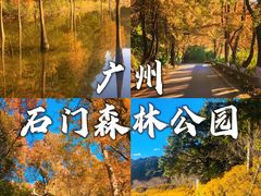 -广州市石门国家森林公园