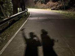 -风云岭森林公园