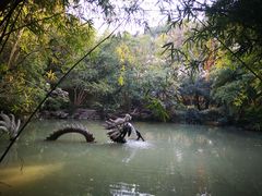 -汇龙潭