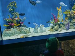 -上海海昌海洋公园