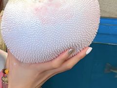 -天正河鲀·河豚亭(大连店)