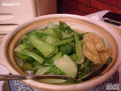 菜心面筋煲-永兴餐厅(复兴中路店)