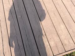 -洨河生态公园