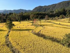 -塔川景区