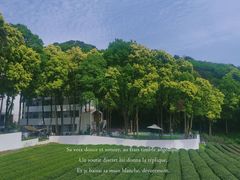 -龙坞茶村