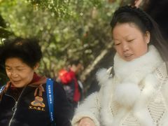 -峨眉山报国寺