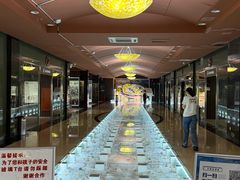 -青岛贝壳博物馆