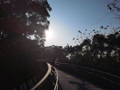 -福道