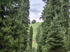 -新疆那拉提国家旅游度假区